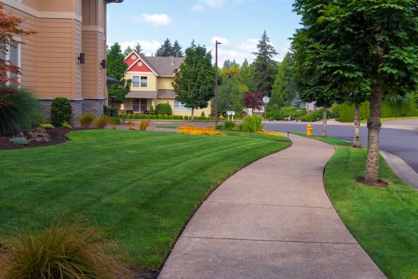 Cement Driveway Repair
