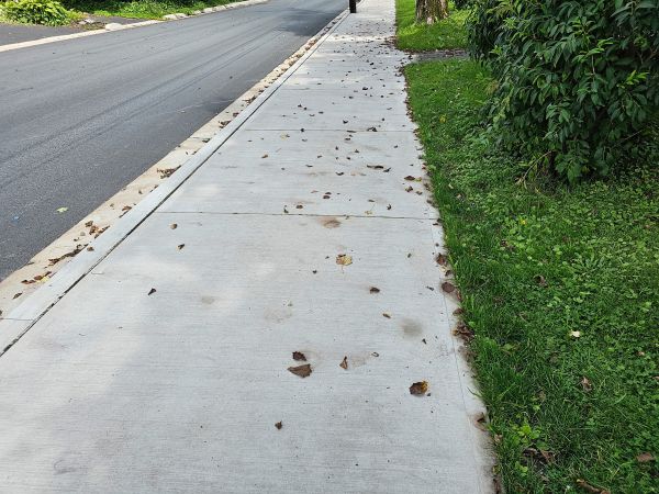 Curb And Sidewalk Installation