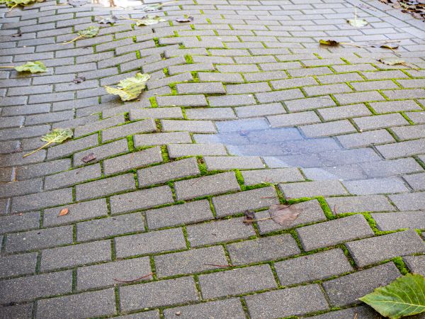 Patio Grout Repair