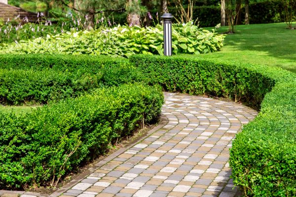 Cement Landscaping
