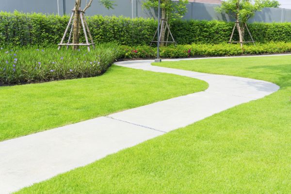 Backyard Pathway Construction