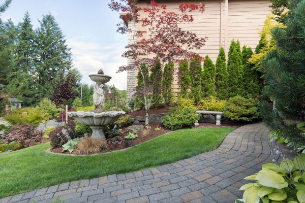 Backyard Paving
