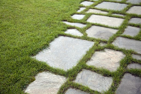 Hardscape Maintenance