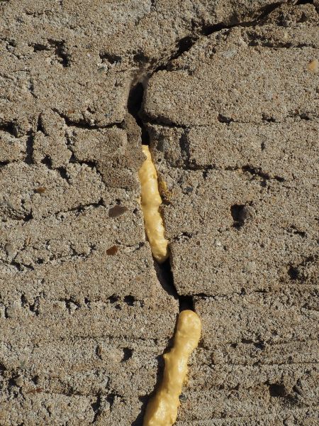 Concrete Leveling