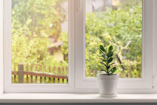 Sill Maintenance