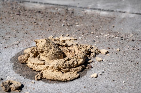 Concrete Leveling