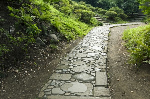 Backyard Hardscaping