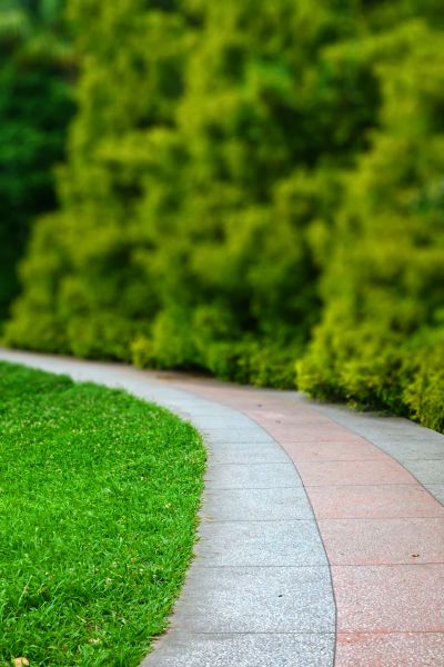 Backyard Sidewalk Installation