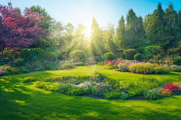 Garden Enlargement