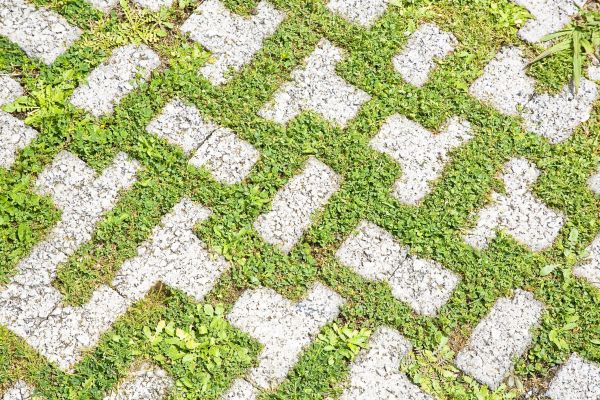 Brick Driveway Building